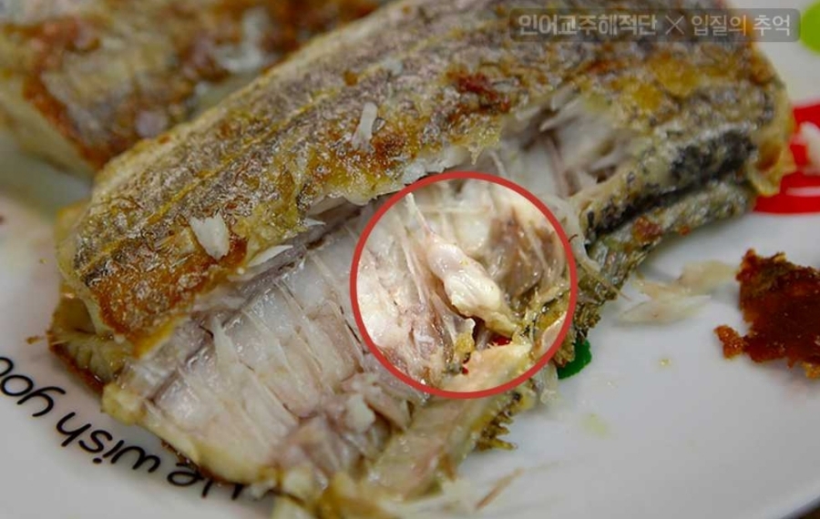 이석유통 이미지