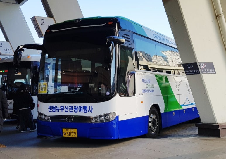 천일관광여행사 이미지
