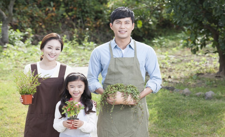 솔연 이미지