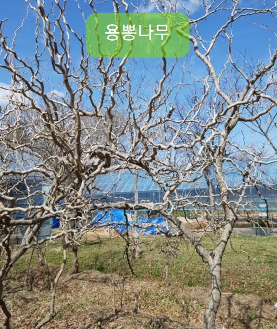 용문슈퍼 이미지