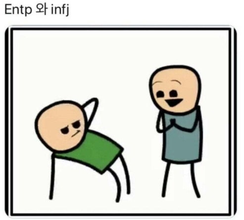스타우터 이미지