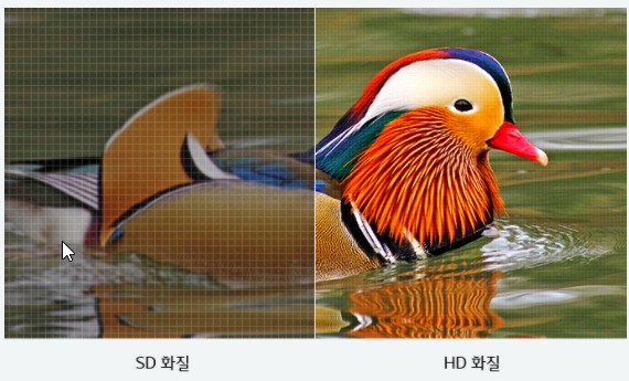 LGB2B특판 이미지