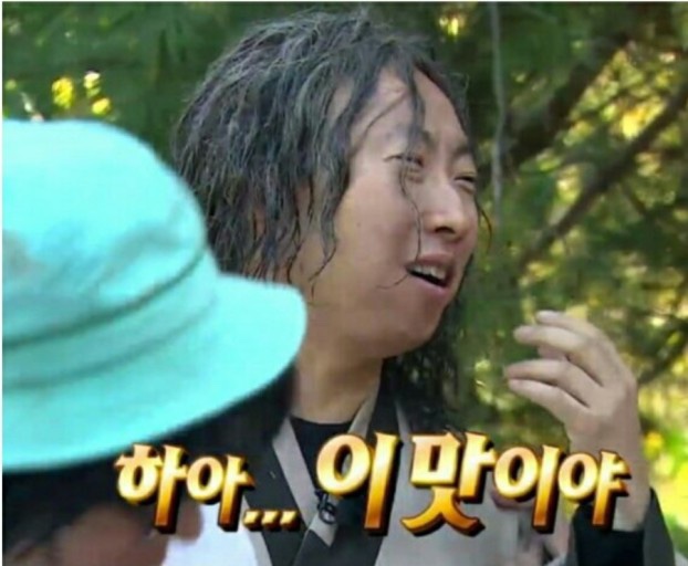 아글라오네마 이미지