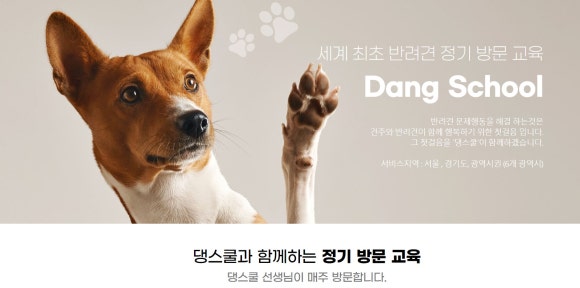 쿨건강관리 이미지
