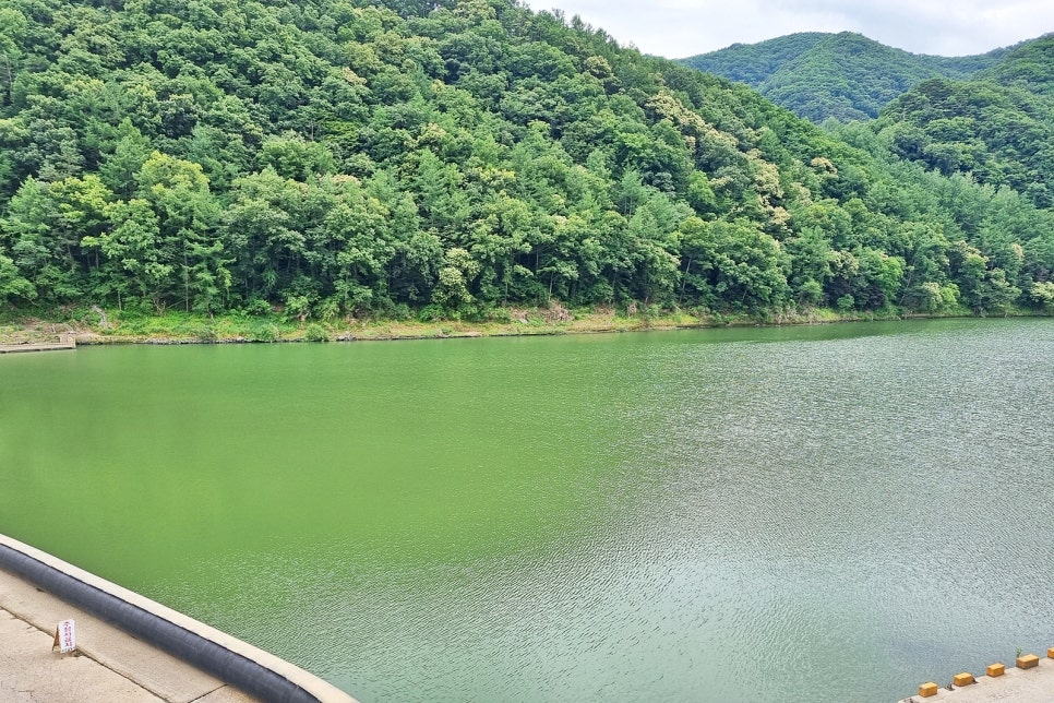 금강파라솔 이미지