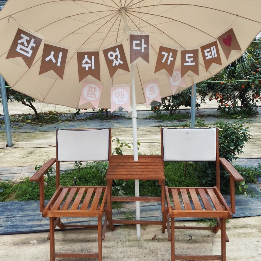 트리앤팜 이미지