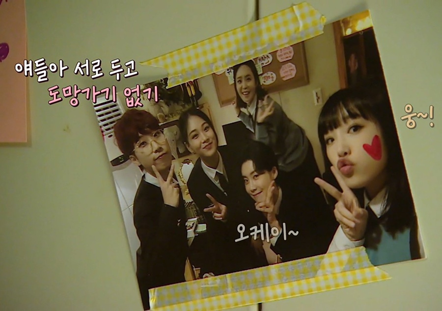 단콩 이미지