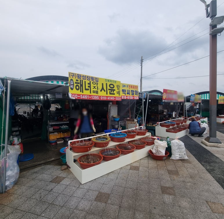 해녀아지매 이미지