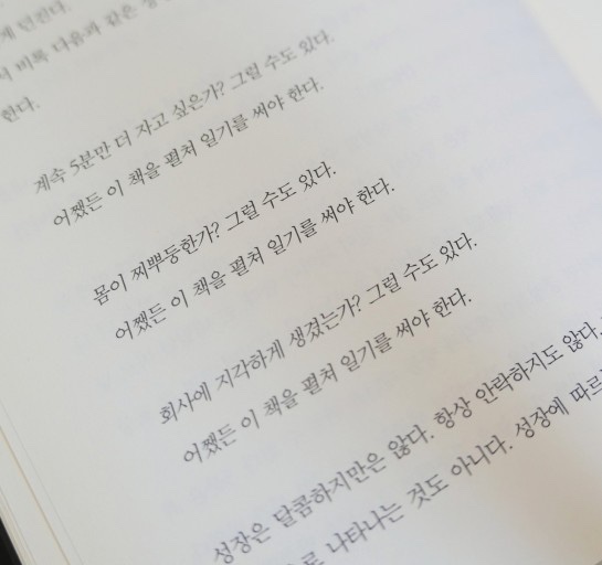 단콩 이미지