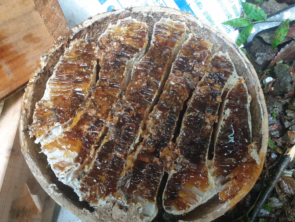 설통신 이미지