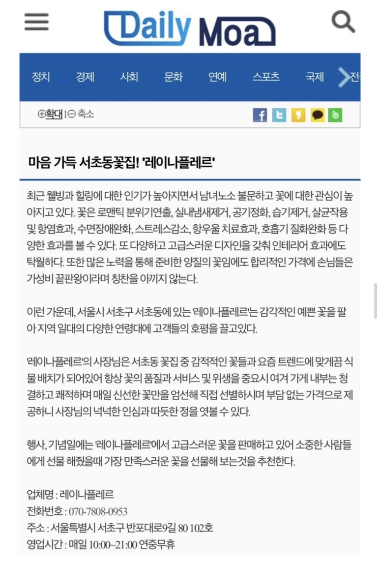 레이나플레르 이미지