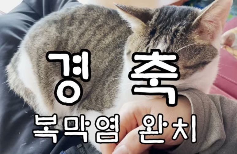 미스터부커피 이미지