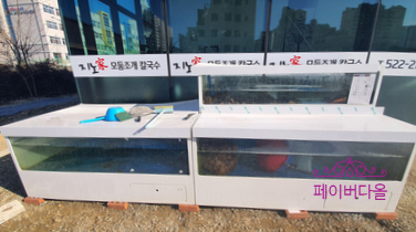 지노모둠조개칼국수 이미지