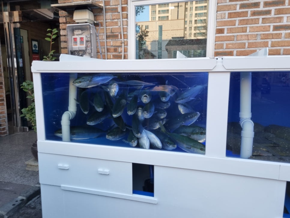 개척수산회센터 이미지