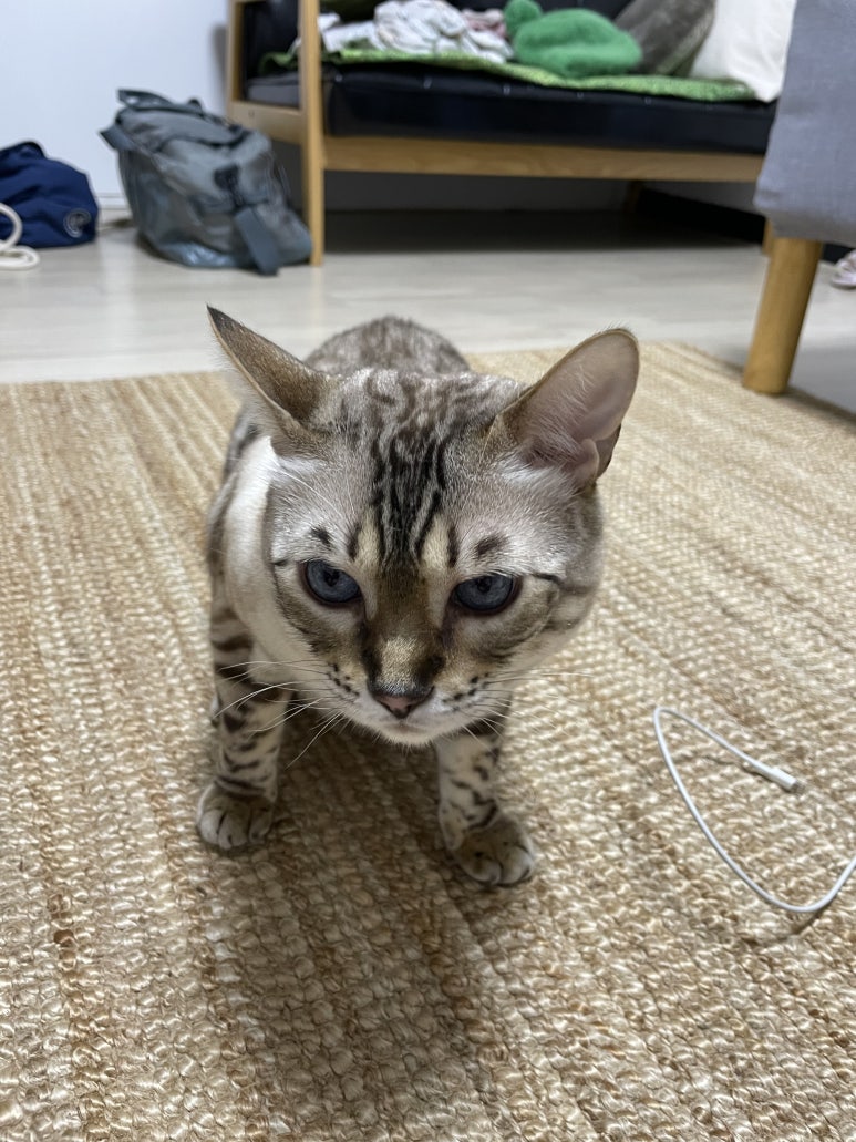 블랭크스서프보드디자인 이미지