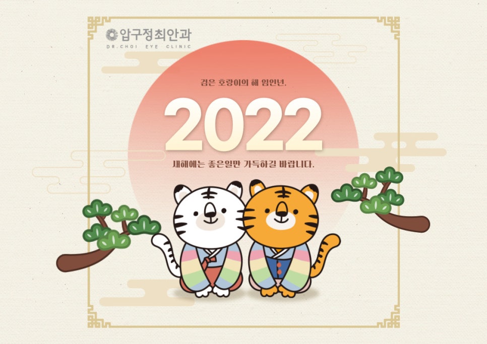 압구정최안과 이미지