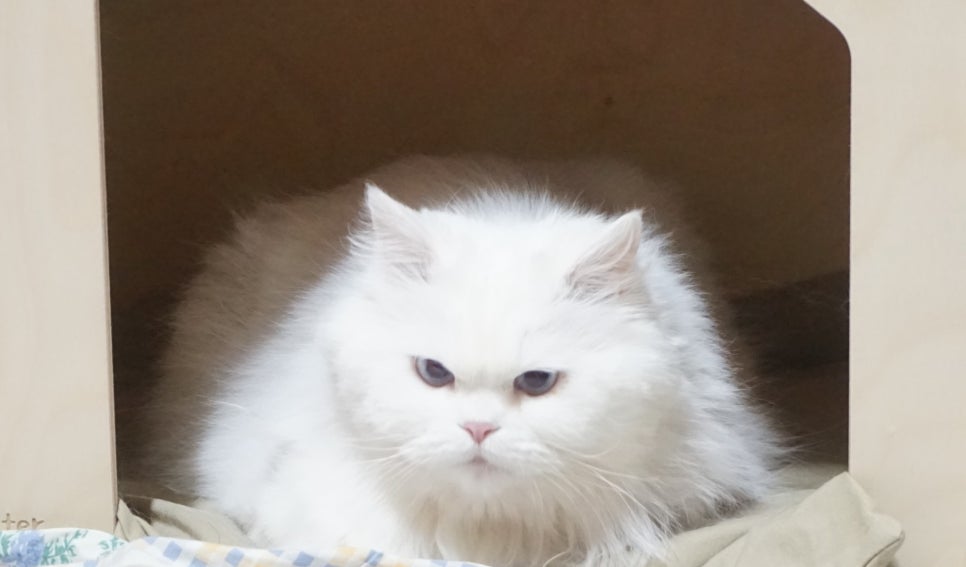 어서오삼불고기 이미지