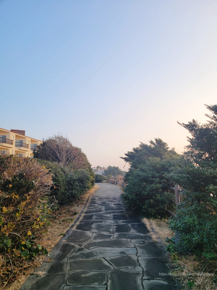 큰엉해올레펜션 이미지