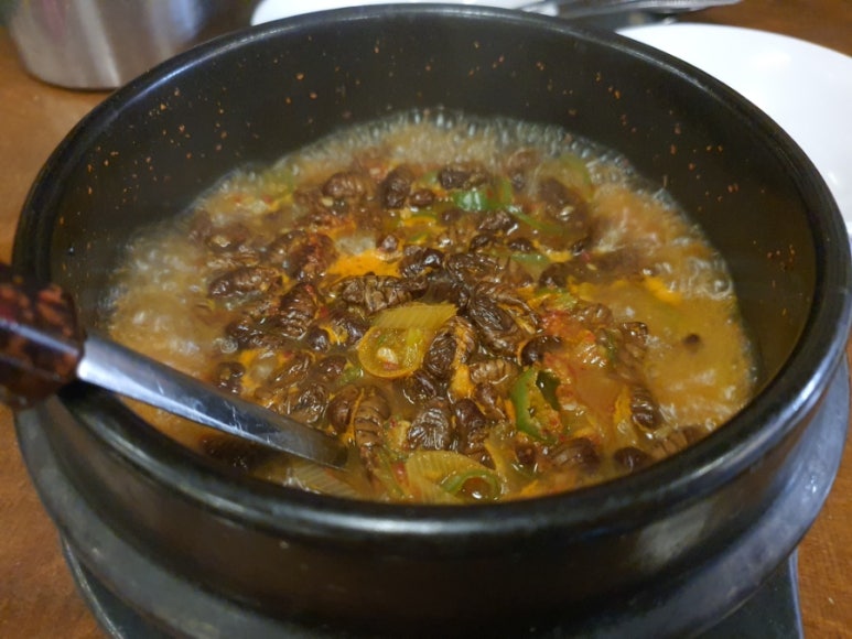 제일호프 이미지