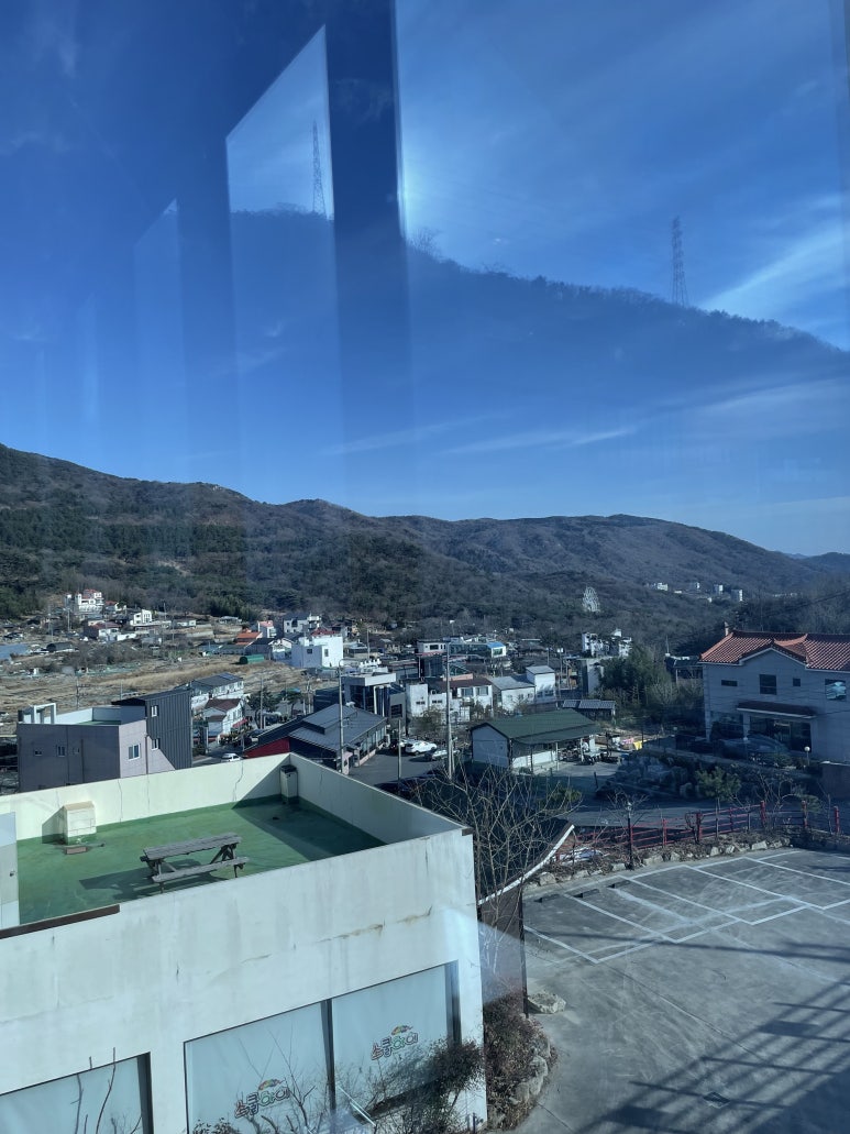 베이커달리아 이미지