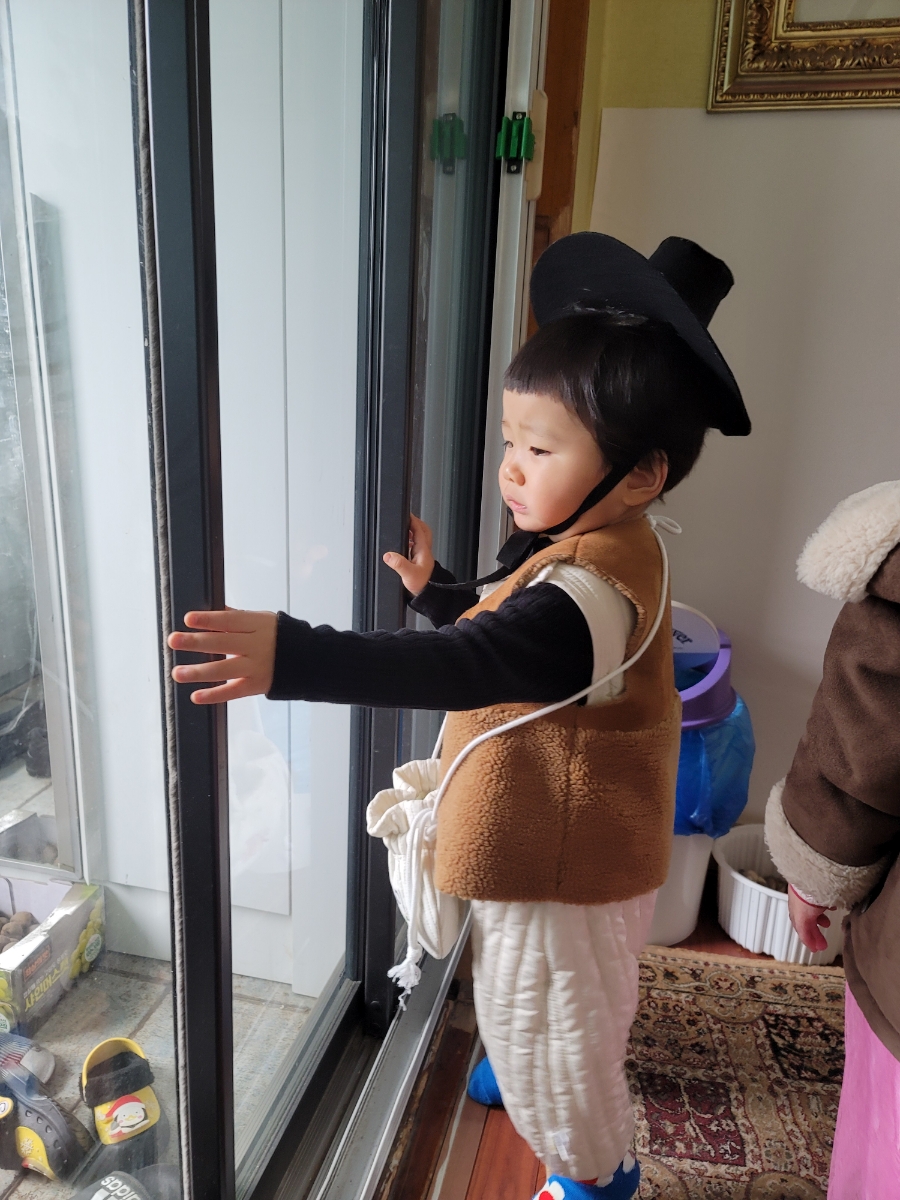 쩨리네 이미지