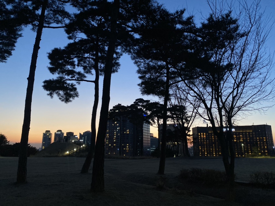 공원돈까스 이미지
