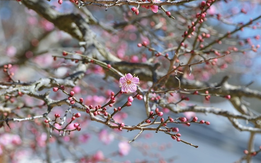 운호건설 이미지