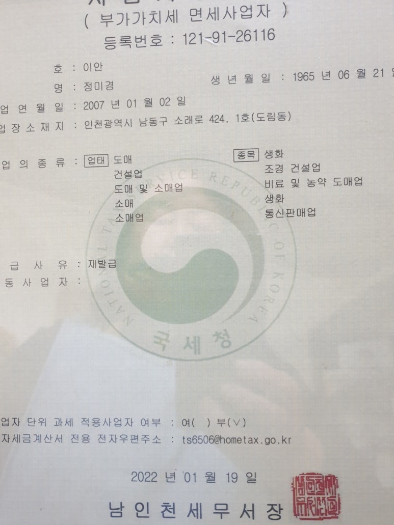 이안도매 이미지