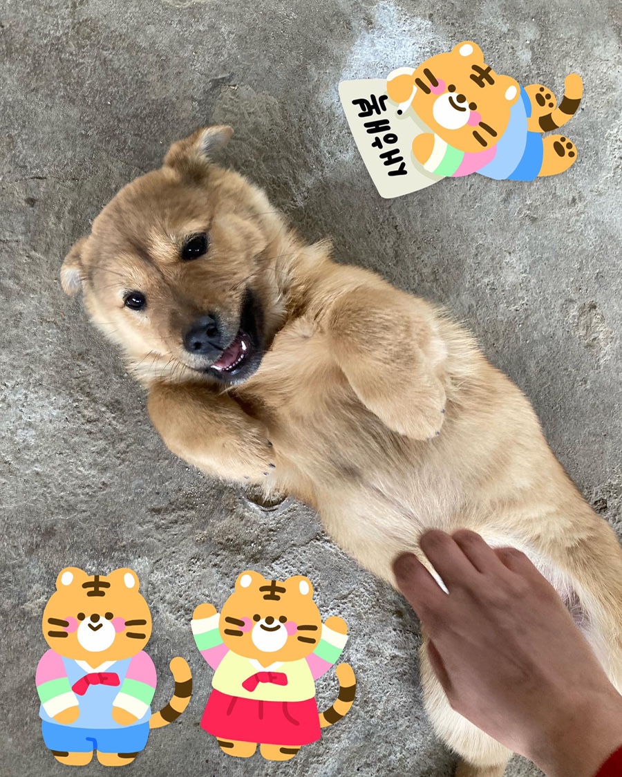 체험의집꾸미룸 이미지