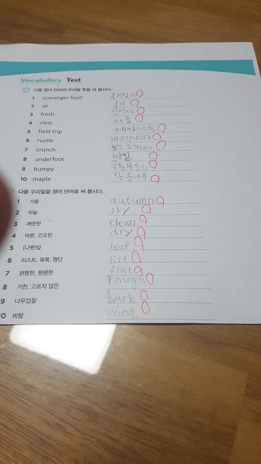대바기네 이미지