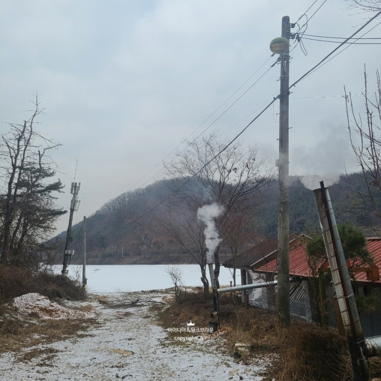애룡산장 이미지