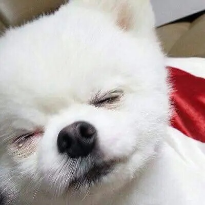 맹글기 이미지