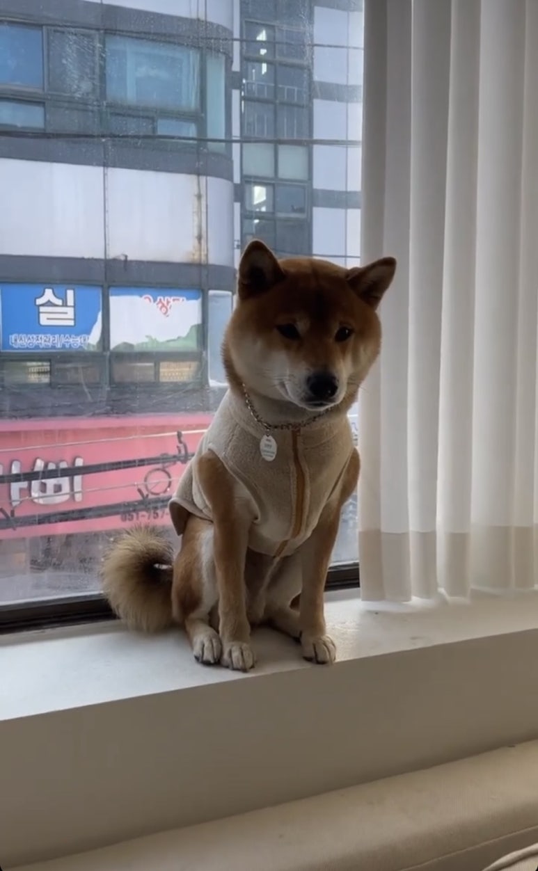 강산컴퍼니 이미지