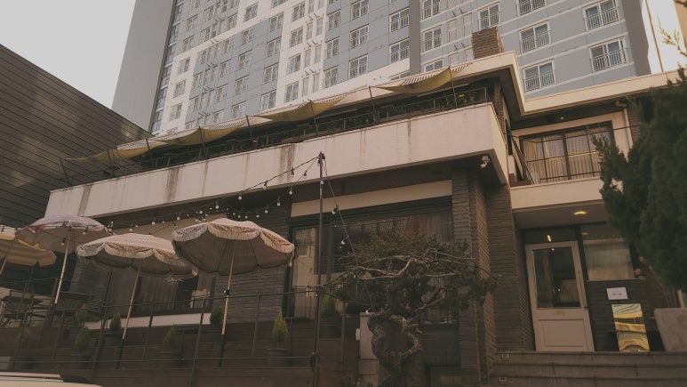 더메리어 이미지