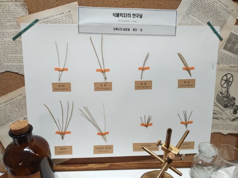 식물가 이미지