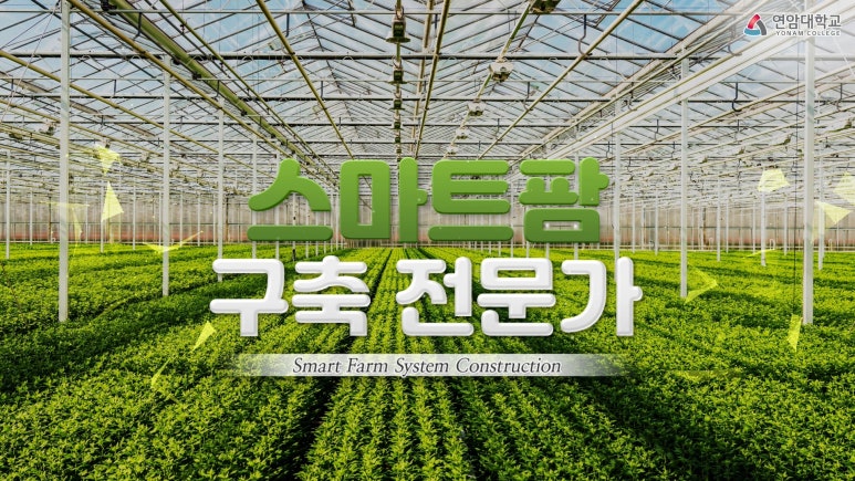 체인네트웍스주 이미지