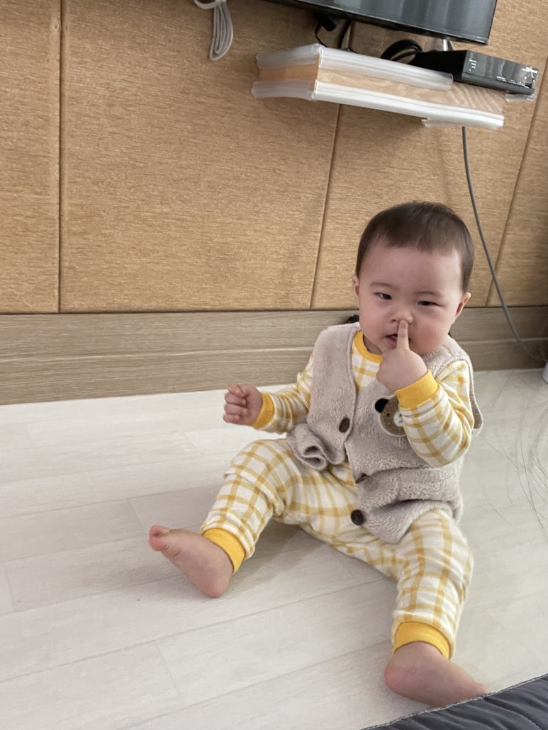 파디마 이미지