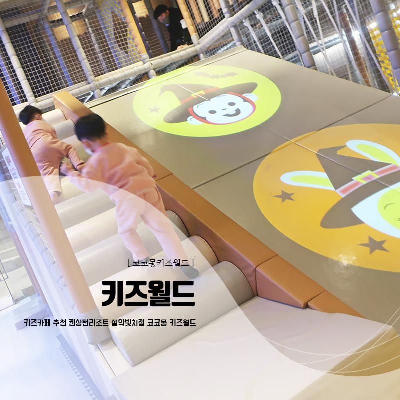 코코몽키즈월드 이미지