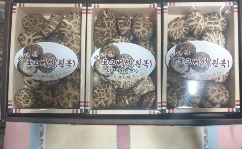 제주영실 표고버섯 이미지