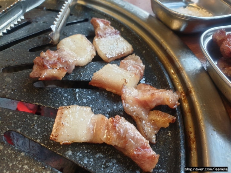 뿔난생돼지 이미지