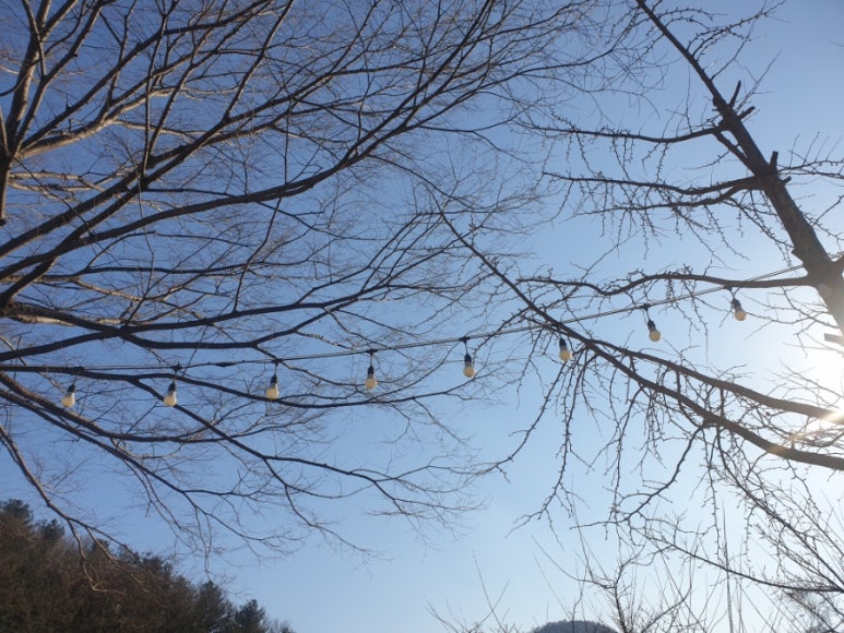 성희네집 이미지