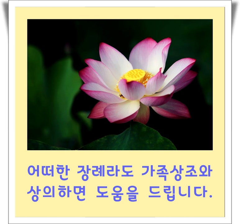 강원대학교병원장례식장 이미지