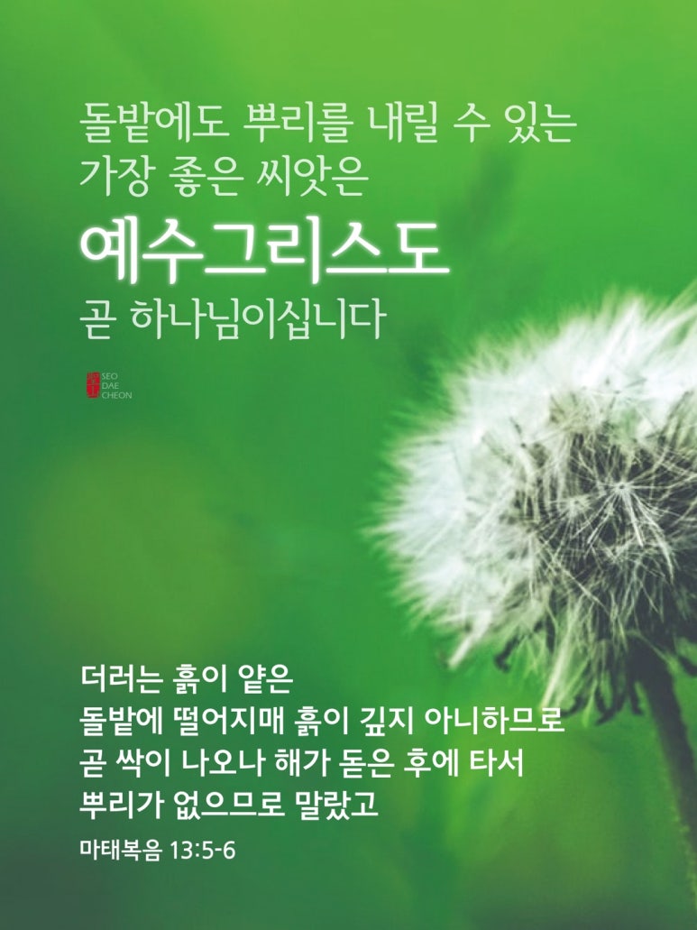 홀리씨즈교회 이미지