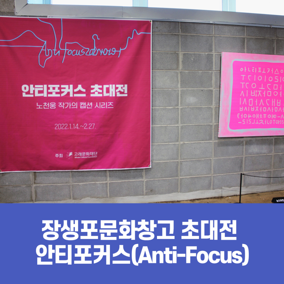 안티포커스 이미지