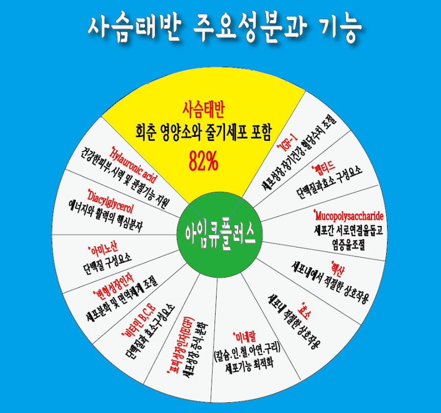 아임엠 이미지