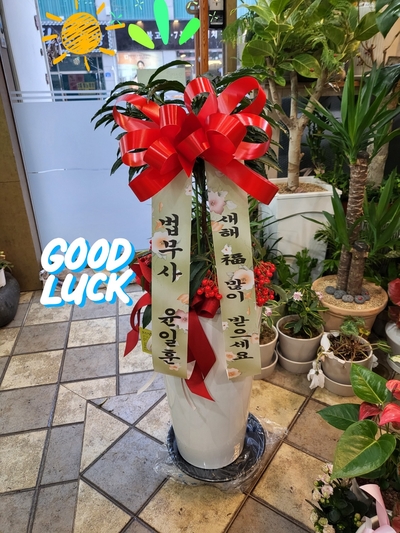 드림법무사사무소 이미지