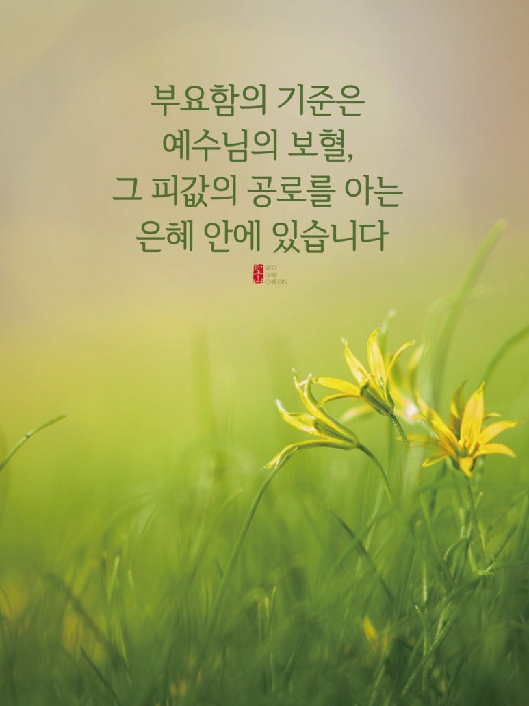 홀리씨즈교회 이미지