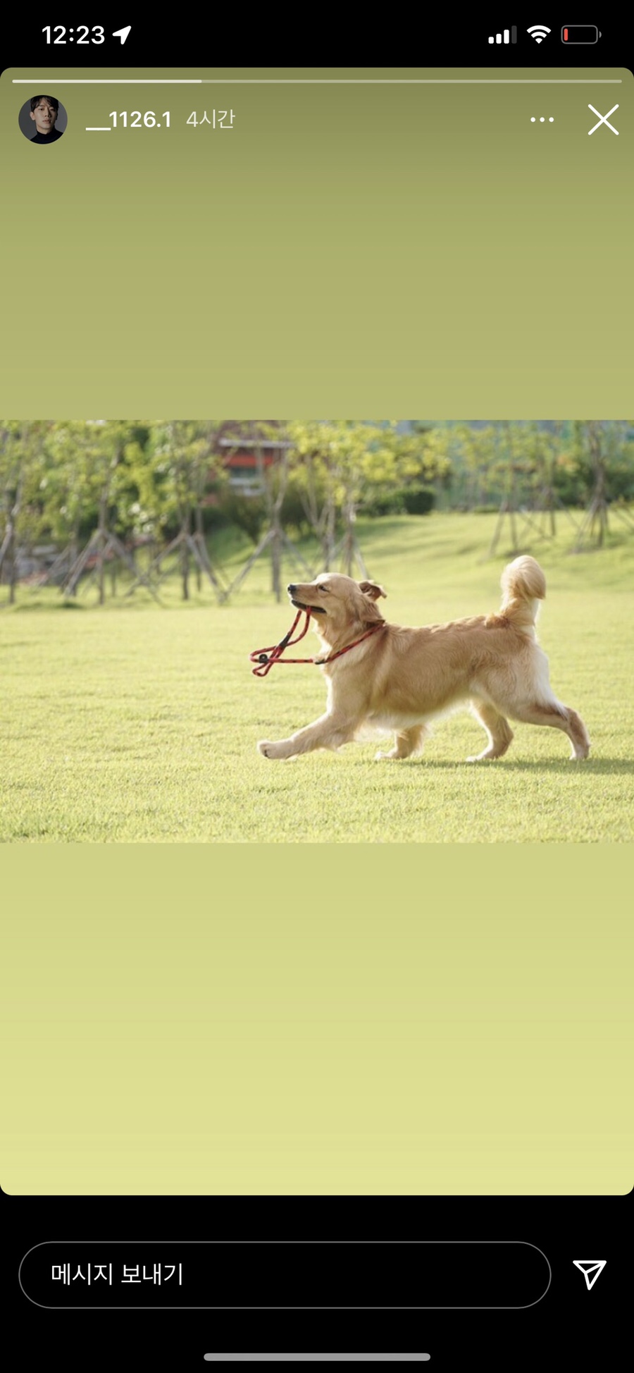 께끼 이미지