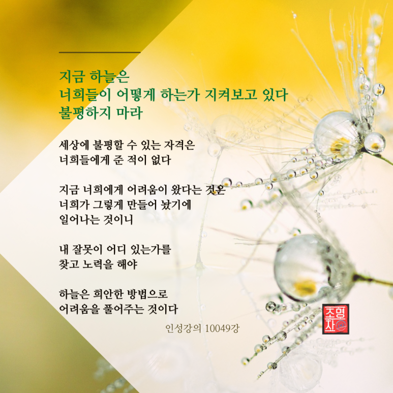 월드홍익선원 이미지