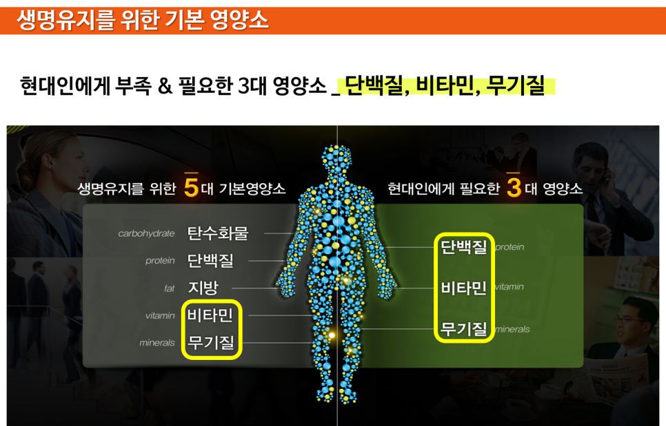 에스디종합관리 이미지